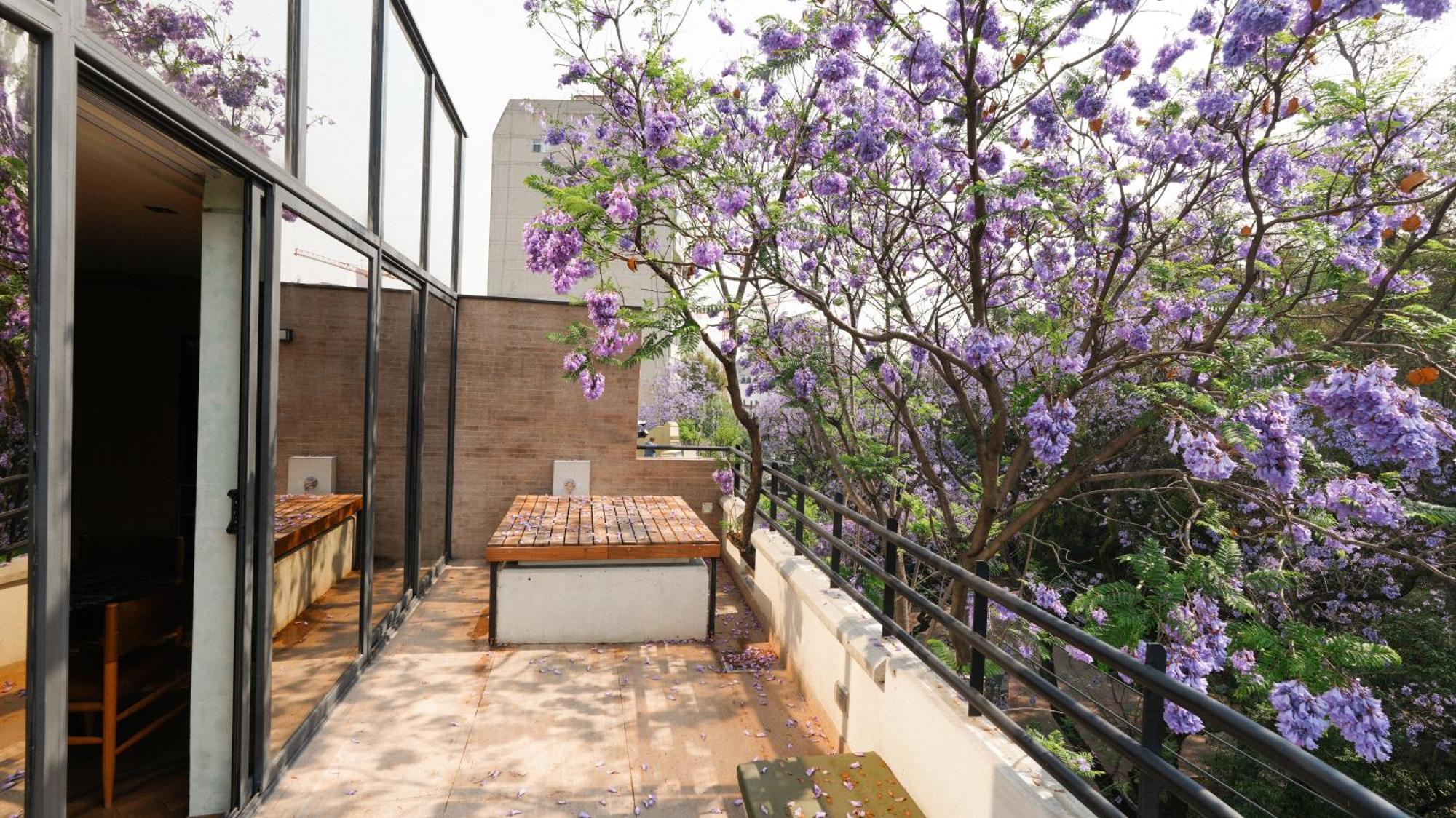 Rodona Hotel Mexico-stad Buitenkant foto